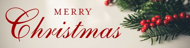 merry christmas banner 640x164